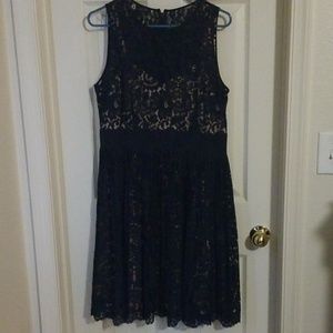Navy knee length lace dress with nude satin liner